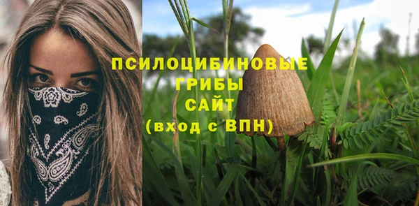 сатива Алексин