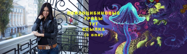 спайс Майский