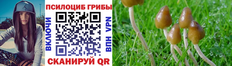 Галлюциногенные грибы мухоморы  закладка  kraken ссылки  Евпатория 